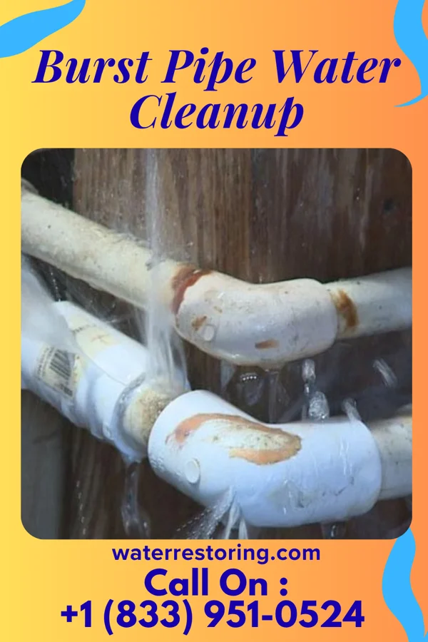 Burst Pipe Water Cleanup in Bancroft, WV