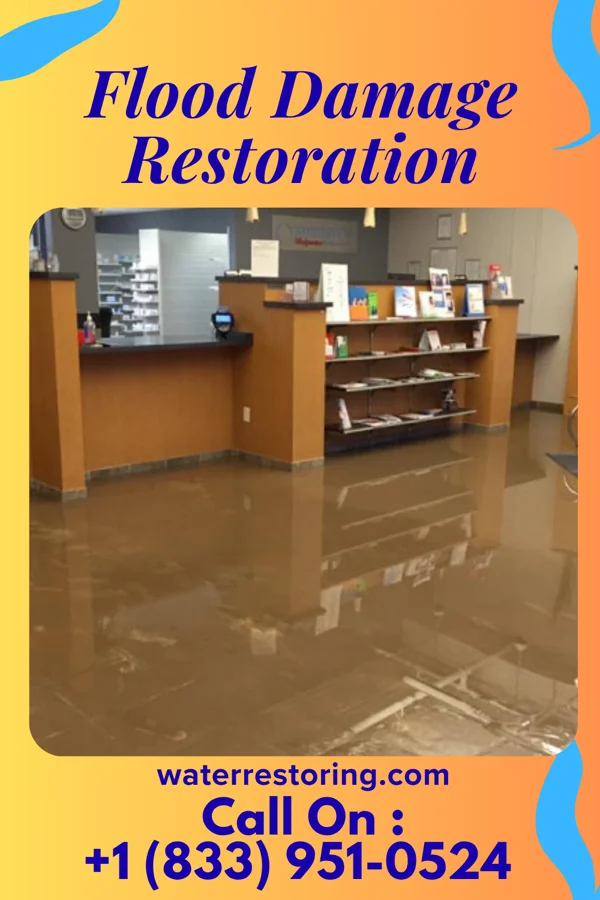 Flood Damage Restoration in Bancroft, WV