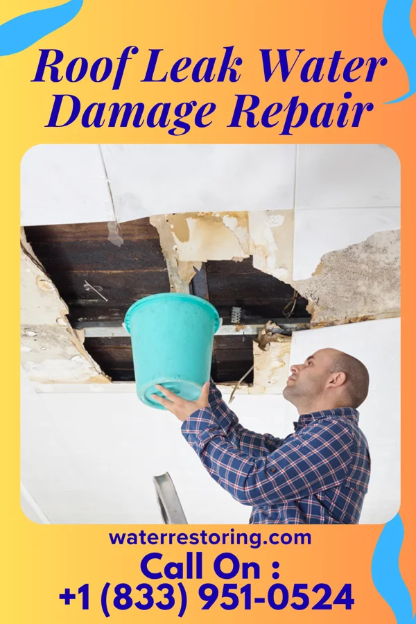Roof Leak Water Damage Repair in Bancroft, WV