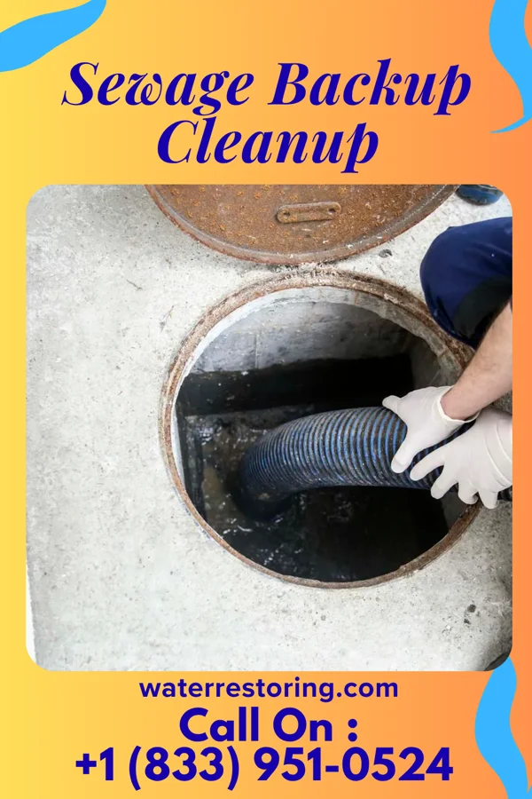 Sewage Backup Cleanup in Bancroft, WV